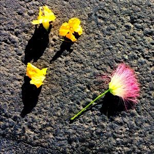 Meet your Posher, Diana